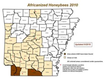 Africanized Honey Bees in AR map with highlighted counties indicating where bees are located.