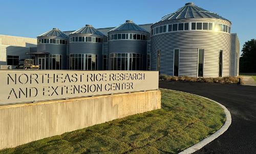 Northeast Rice Research and Extension Center that houses the Rice Discovery Program facilities.