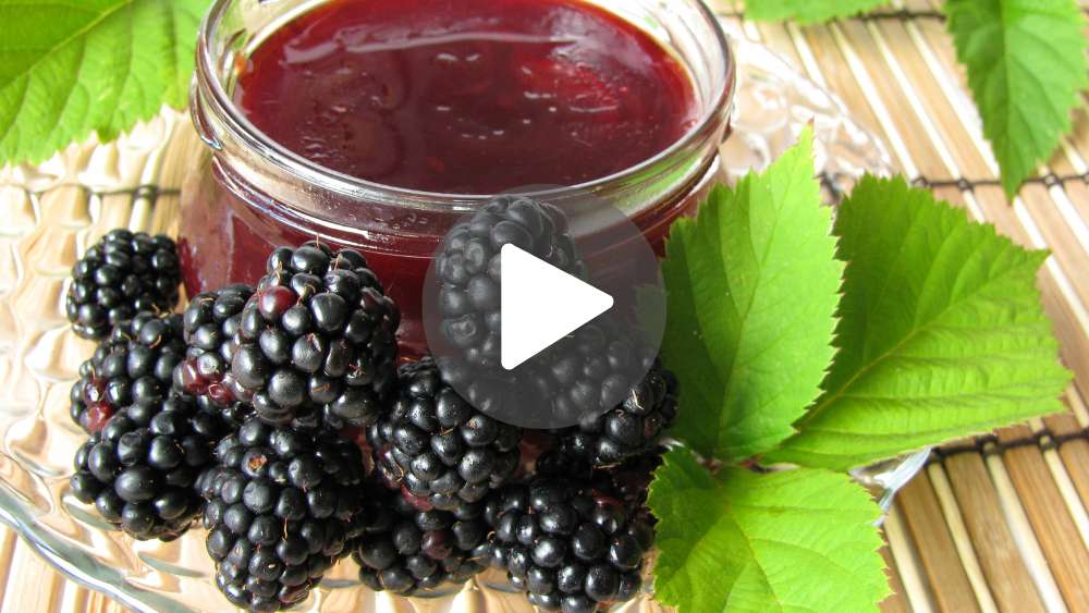 blackberry jelly recipe video