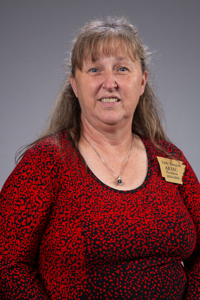 Deb Teague (Vice-President)