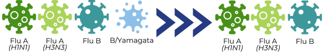 the image shows 4 strains of flu (flu A - H1N1, flu A - H3N3, Flu B, B/Yamagata) with an arrow pointing to three strains of flu (Flu A - H1N1, Flu A - H3N3, Flu B)