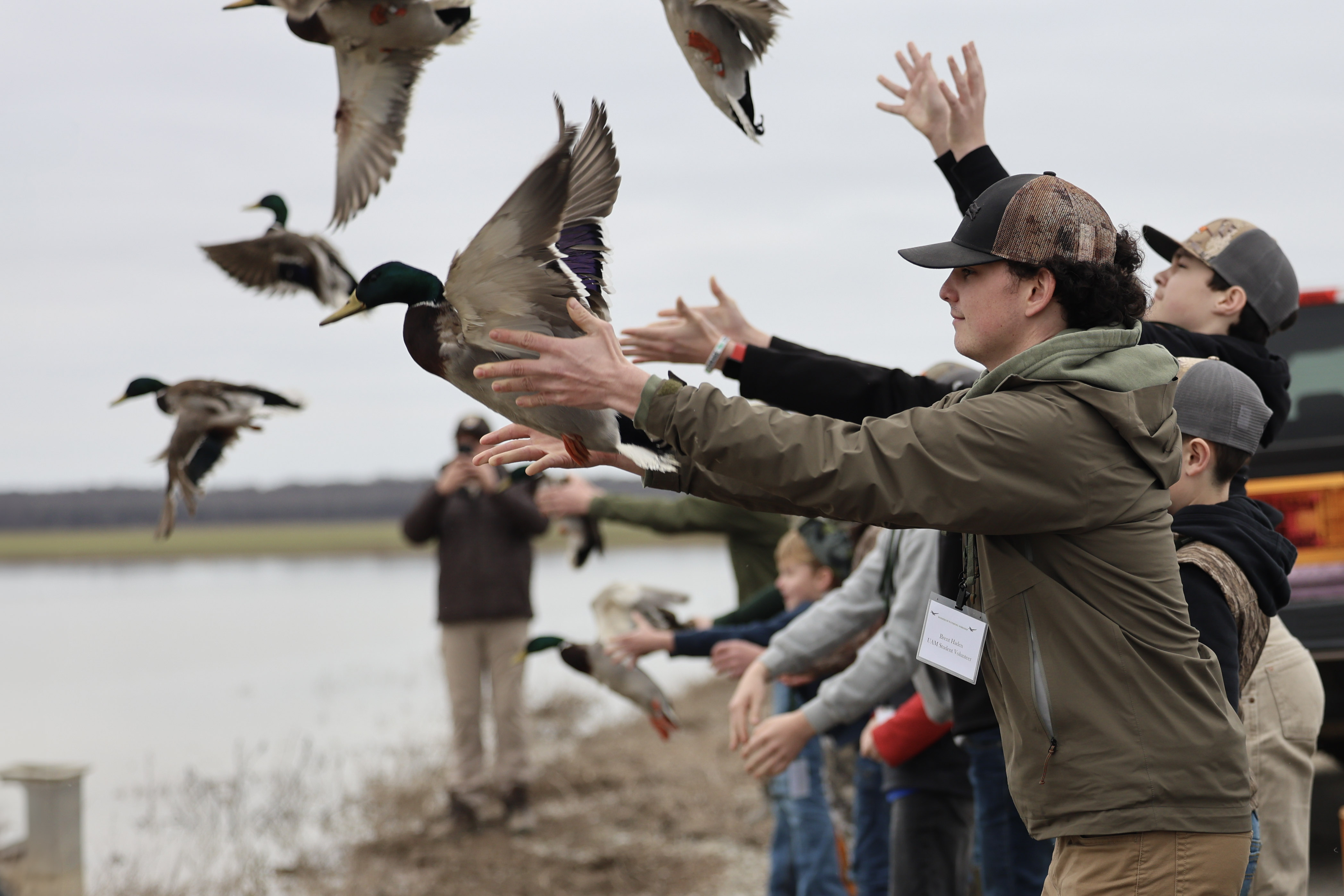 Young people release banded ducks into the wild