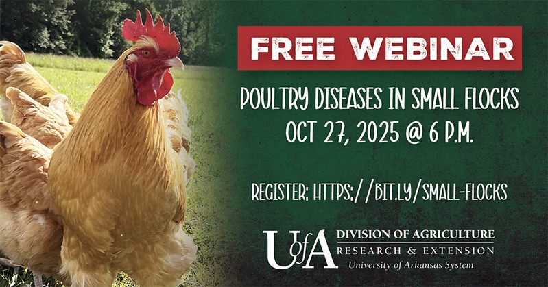 Poultry biosecurity webinar flyer