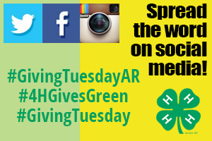 Giving Tuesday hashtags for Arkansas donation