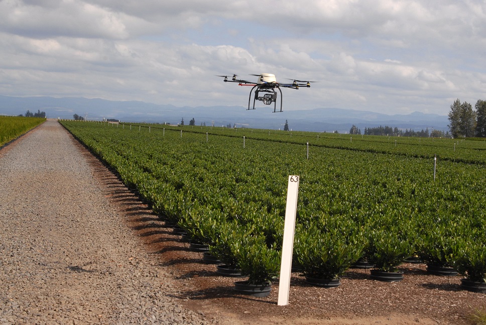 drone over a crop field