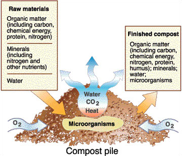 composting process