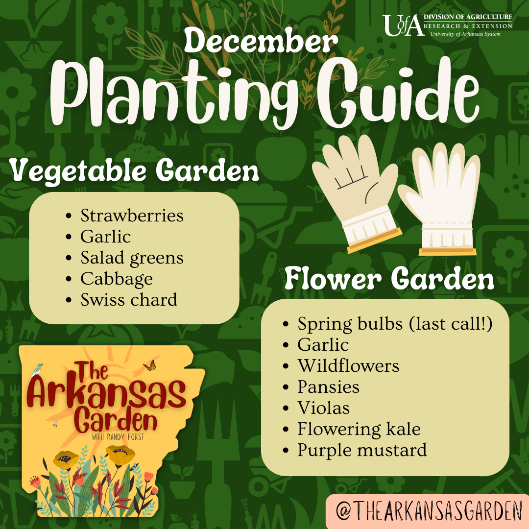 December Planting Guide for social media