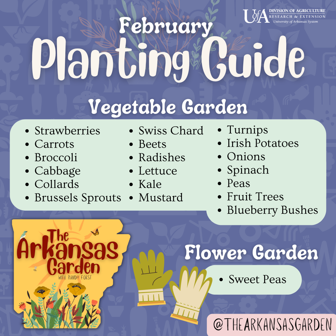 February Planting Guide for social media