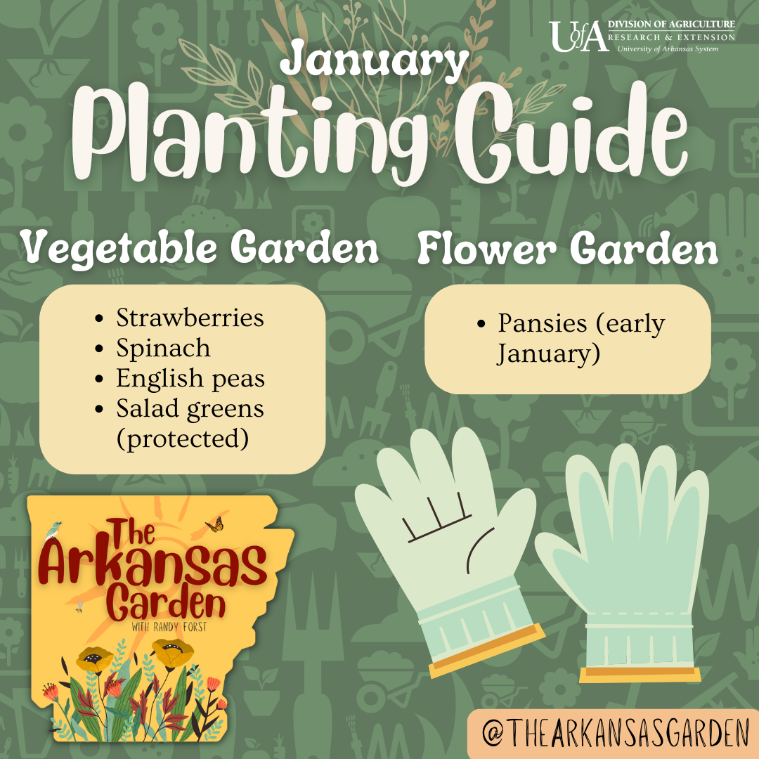 January Planting Guide for social media