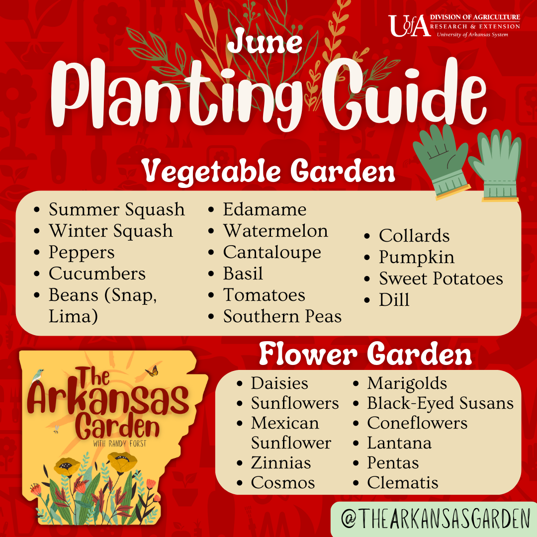 June Planting Guide for social media