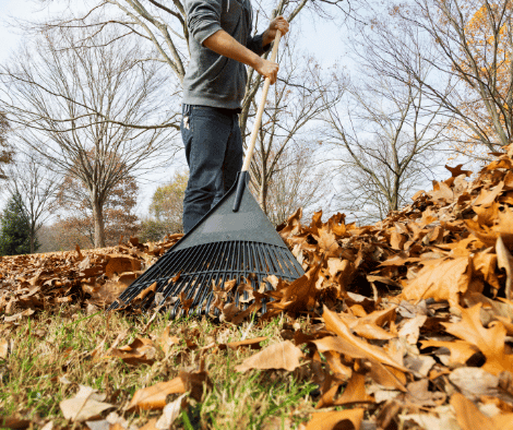 Person raking leaves in the fall