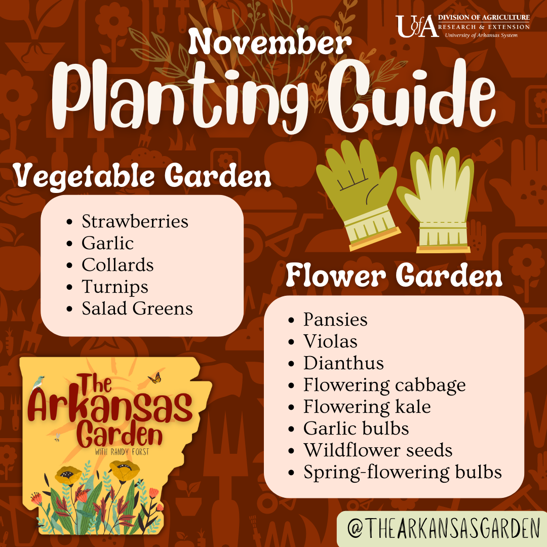 November Planting Guide for social media