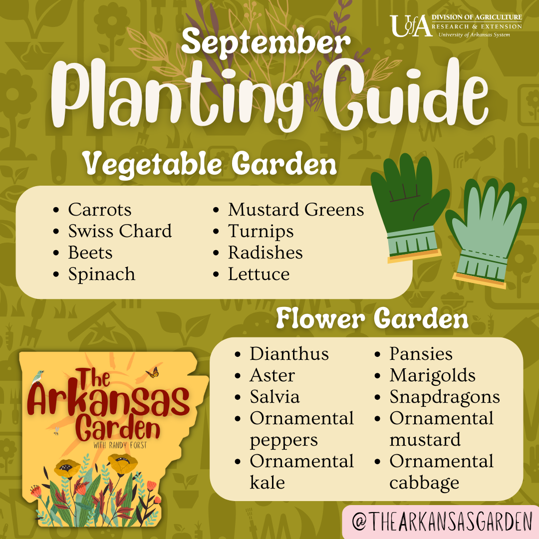 September Planting Guide for social media