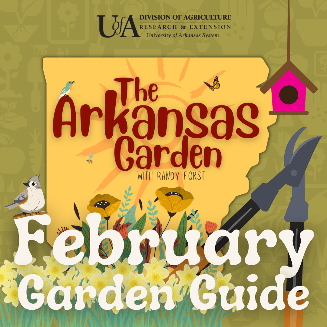 Cover of the February Arkansas Garden Guide