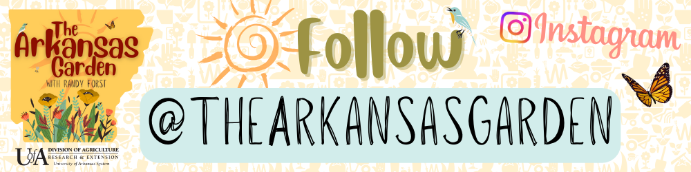 Follow The Arkansas Garden on Instagram