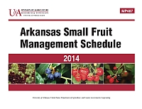 MP467 - Arkansas Small Fruit Management Schedule | Arkansas Extension