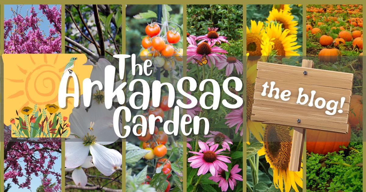 The Arkansas Garden Blog With Randy Forst