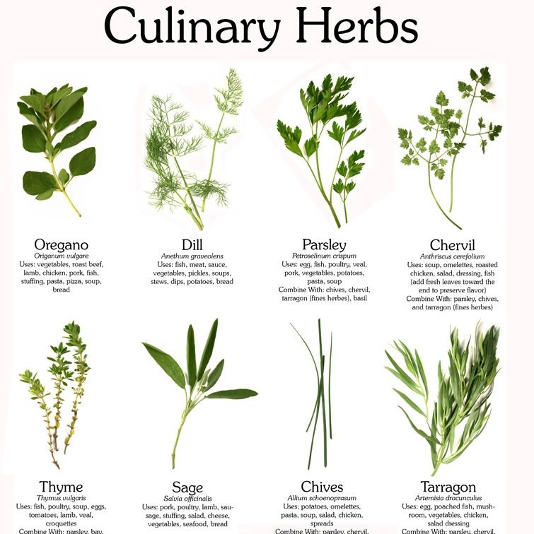 A photo of with various photos of culinary herbs