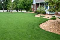 Lush Lawns | Yard & Garden | Arkansas Extension