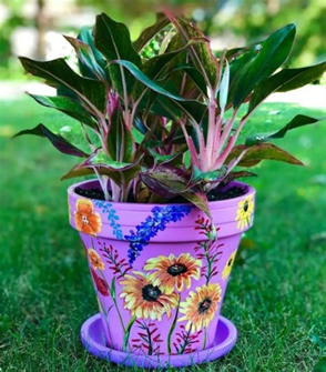 Sassy pot photo 2 Photo of a colorfully painted planting container with sunflowers.