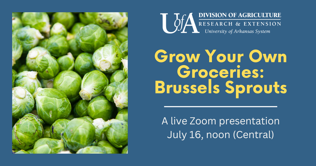 Grow Your Own Brussel Sprouts
