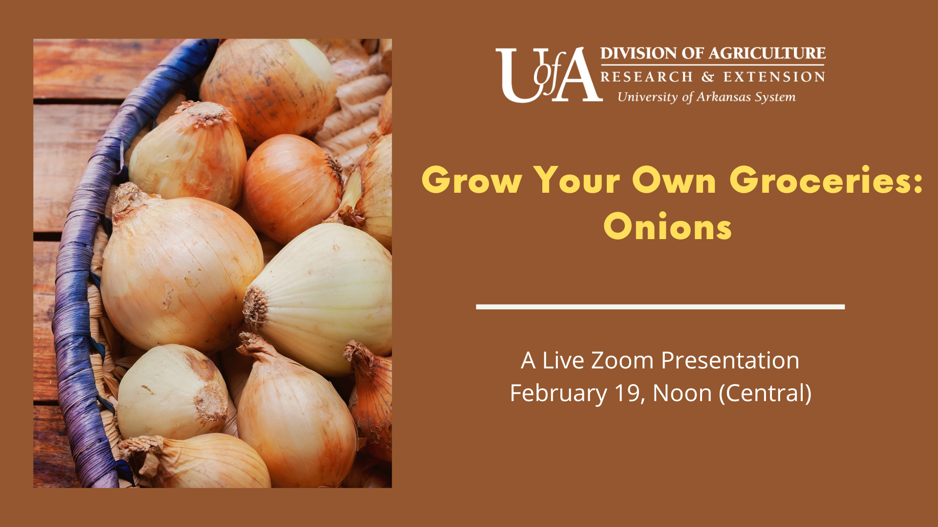 Grow Your Own Onions