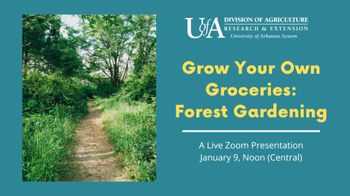 Grow Your Own Groceries forest gardening