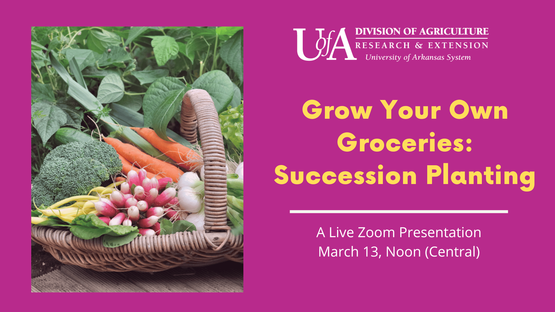 Grow Your Own Groceries succession planting